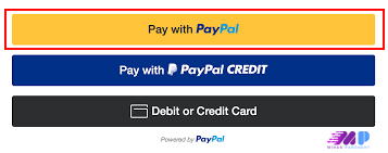 چگونگی پرداخت با پی پال