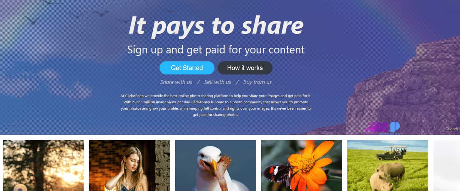 کسب درآمد از clickasnap