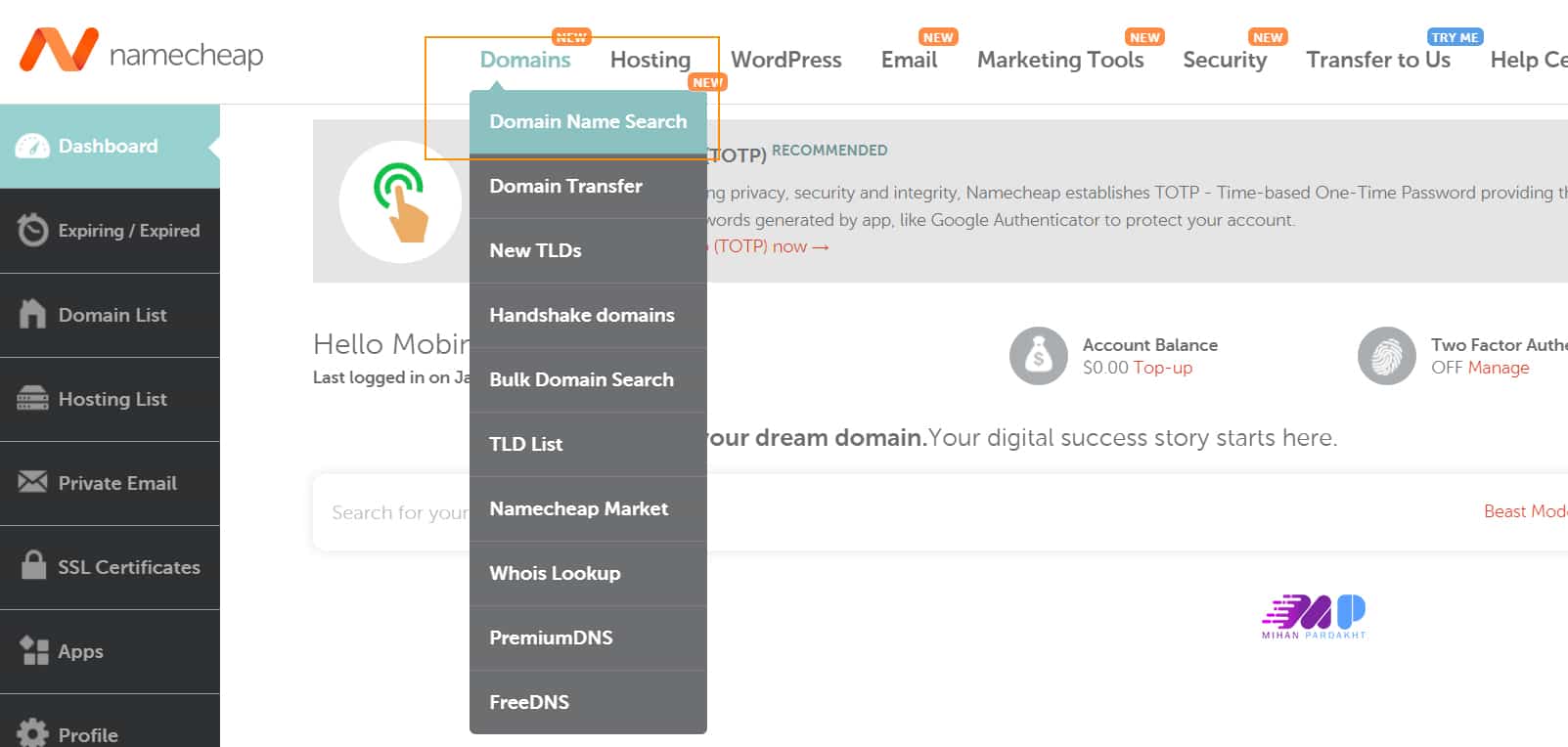 مراحل خرید دامنه از نیم چیپ
